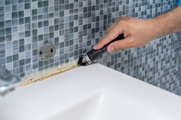 Best Mold Testing  in Davison, MI